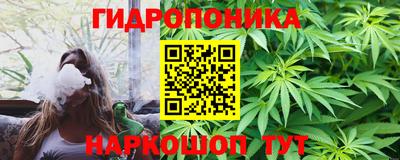 прущие крисы Партизанск