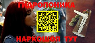 дживик Пенза