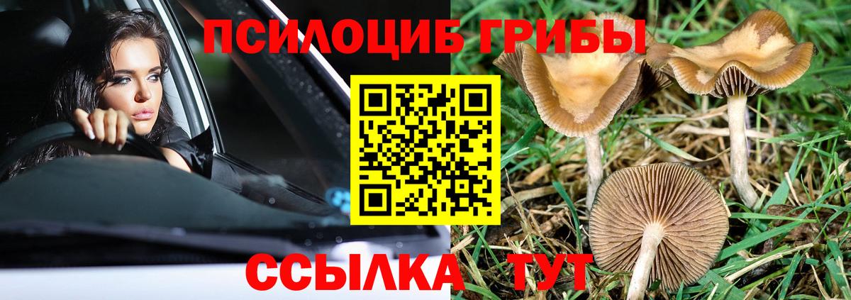Галлюциногенные грибы MAGIC MUSHROOMS Тавда