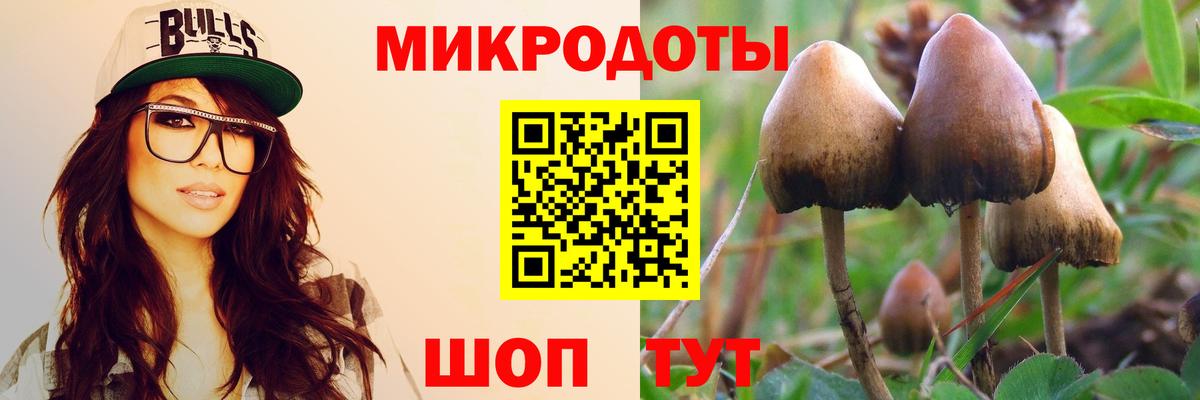 Тавда  Псилоцибиновые грибы мухоморы  Вход с VPN  Галлюциногенные грибы мицелий 