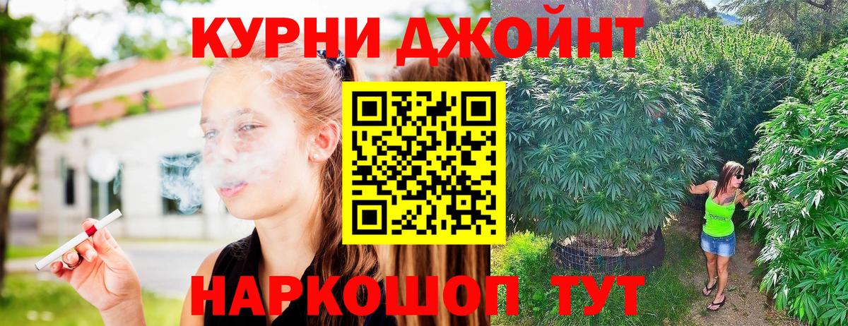 Каннабис планчик  Бошки Шишки Bruce Banner  Вход с VPN  Марихуана Bruce Banner  Тавда 